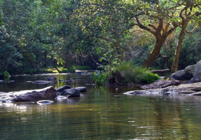 Udupi to Kodagu (Coorg): A Journey of Faith, Falls, and Footsteps
